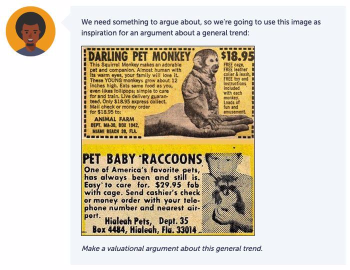 A newspaper clipping about pet monkeys and raccoons is used as inspiration for a balderdash-style valuational argument.