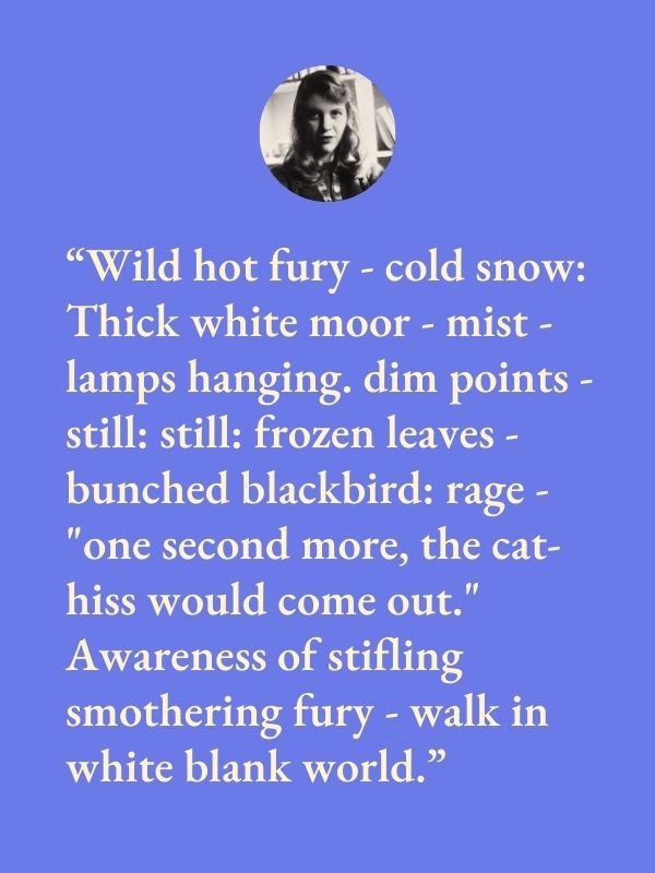 "Wild hot fury - cold snow: Thick white moor - mist - lamps hanging. dim points - still: still: frozen leaves - bunched blackbird: rage - "one second more, the cat hiss would come out." Awareness of stifling smothering fury - walk in white blank world." By Sylvia Plath