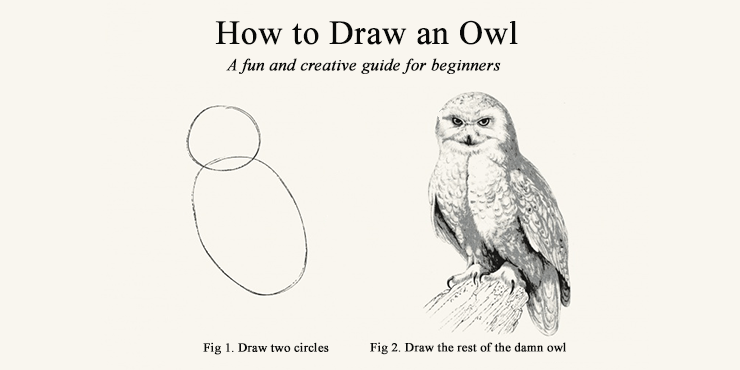 Draw the rest of the damn owl